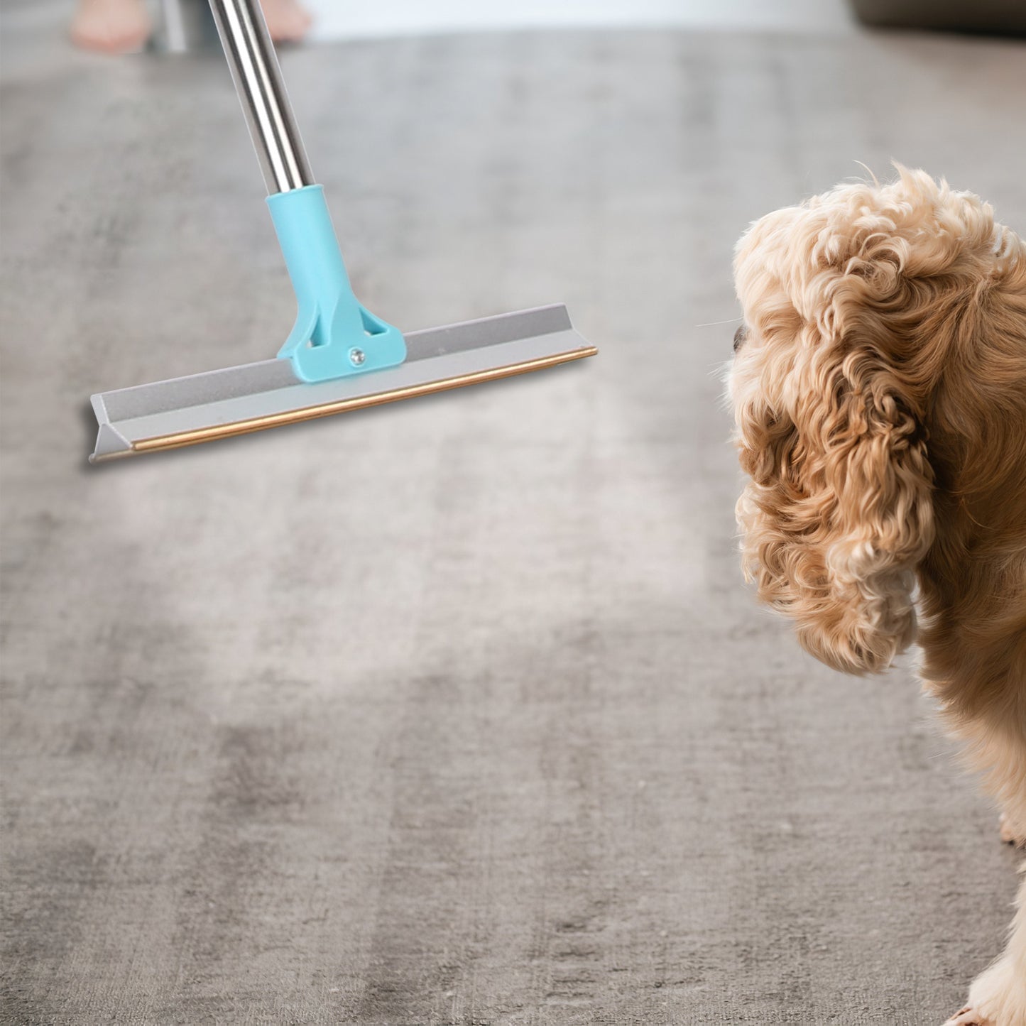 Pet Hair Removal Rake With 54.33in Adjustable Telescopic Rod