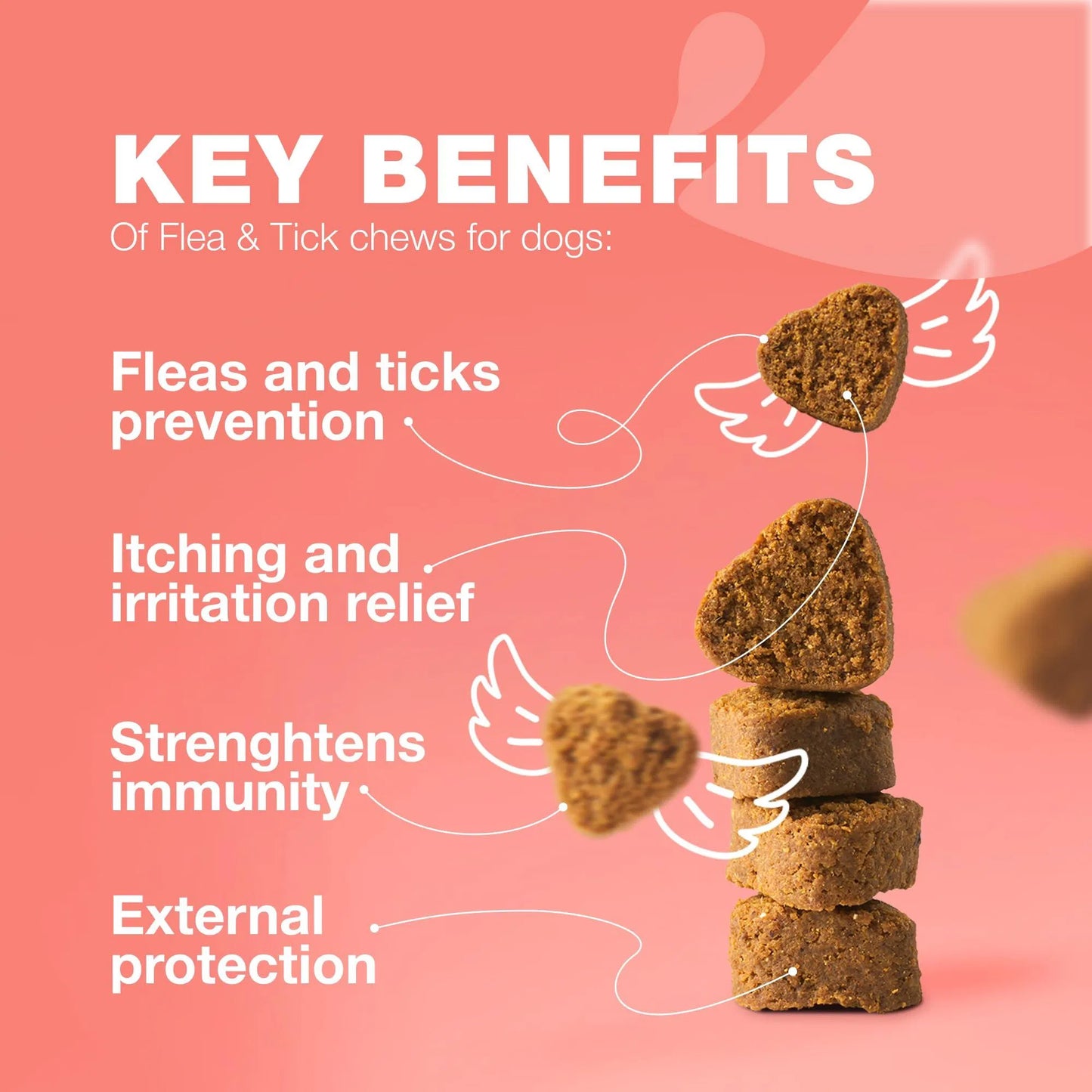 Dog Flea And Tick Treatment Chews FleaTick Prevention For Dogs Chewables Natural Dog Flea & Tick Control Soft Treats Immune Support Supplement
